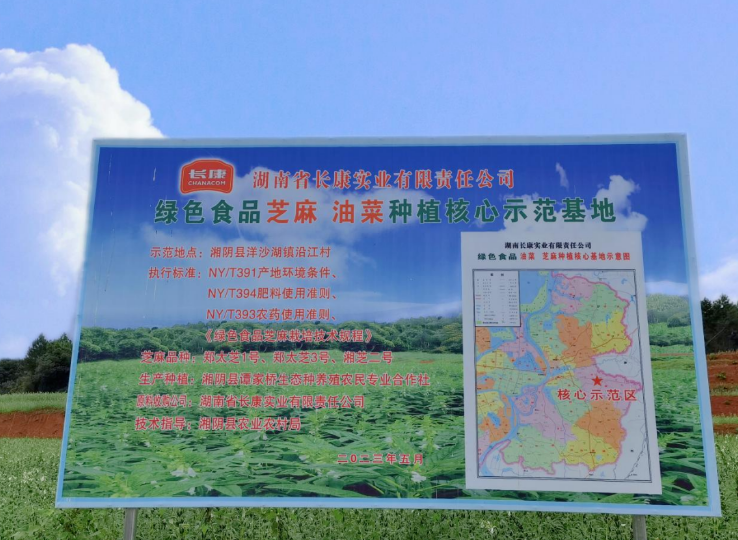 精品久久久久久无码人妻