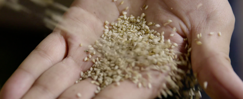 精品久久久久久无码人妻