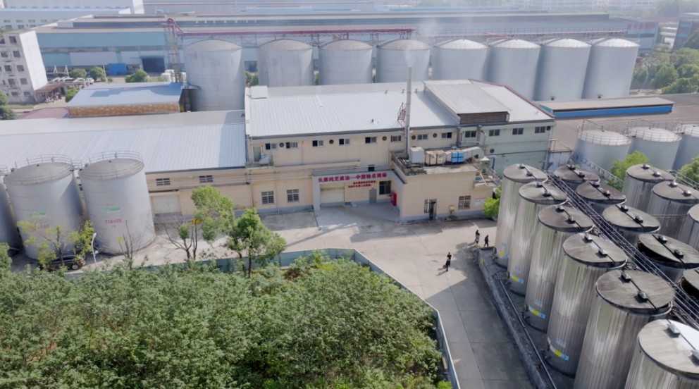 精品久久久久久无码人妻