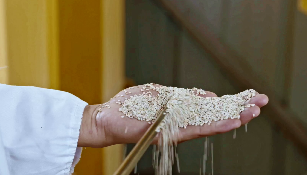 精品久久久久久无码人妻