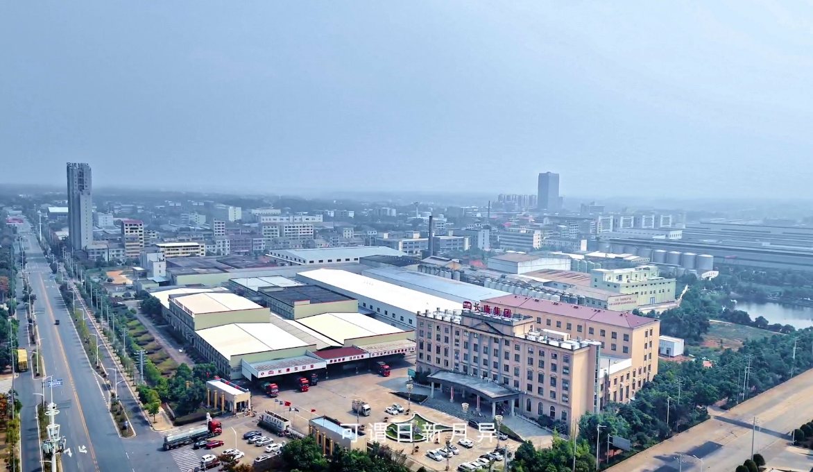 精品久久久久久无码人妻