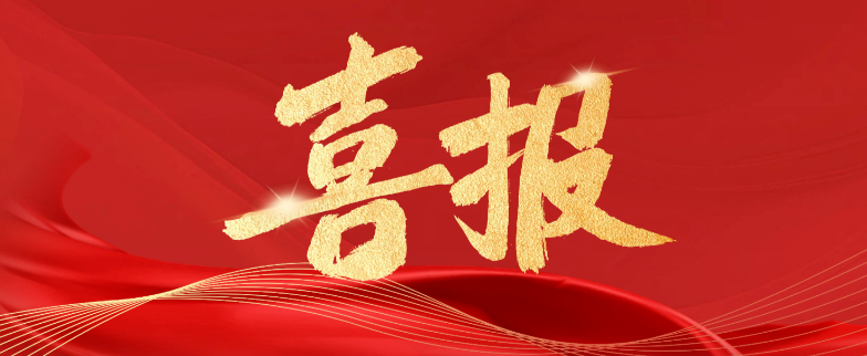 精品久久久久久无码人妻