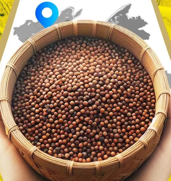 精品久久久久久无码人妻