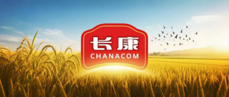 精品久久久久久无码人妻