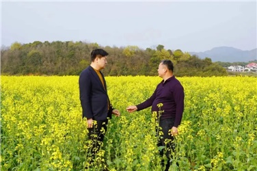 四十年绿脉：22.5万亩土地上的生长与坚守