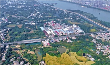 走向世界的油香｜40年长康，从湘阴洞庭到全球餐桌