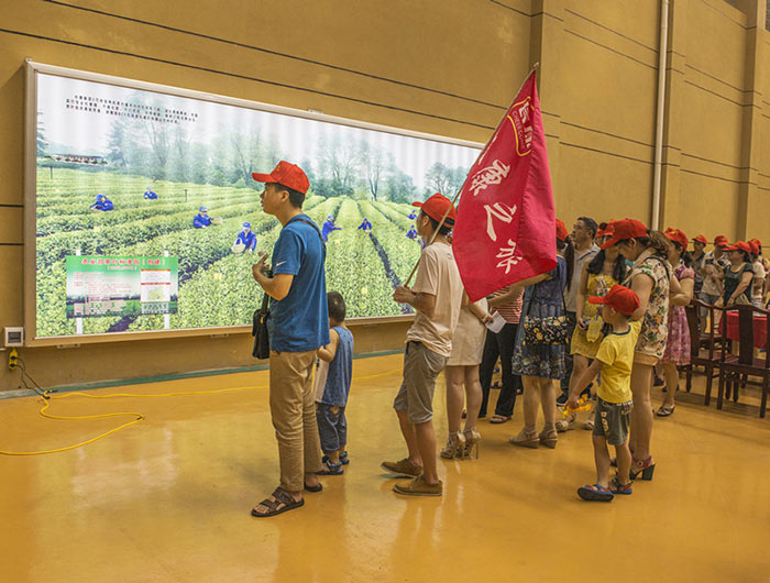 精品久久久久久无码人妻