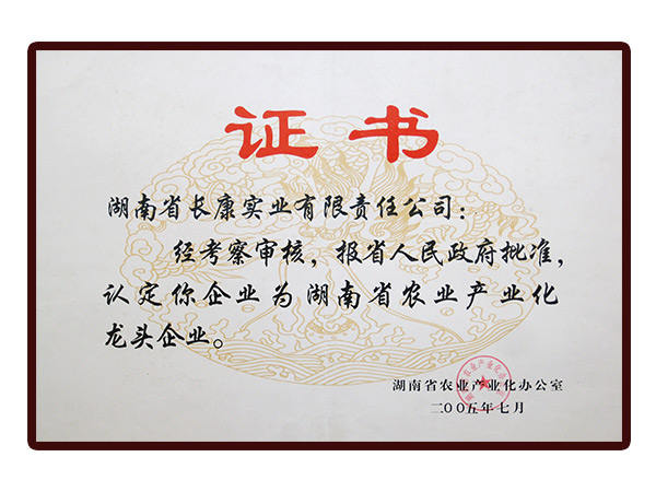 精品久久久久久无码人妻