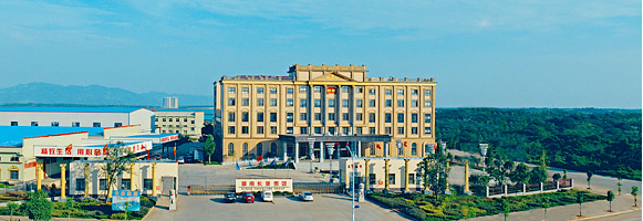 精品久久久久久无码人妻