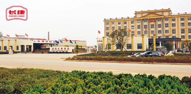 精品久久久久久无码人妻