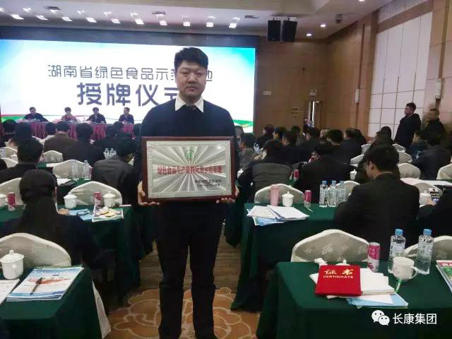 精品久久久久久无码人妻