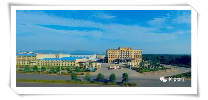 精品久久久久久无码人妻