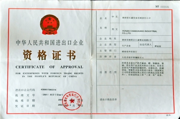 精品久久久久久无码人妻