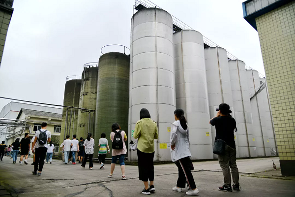 精品久久久久久无码人妻