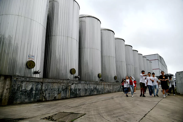 精品久久久久久无码人妻