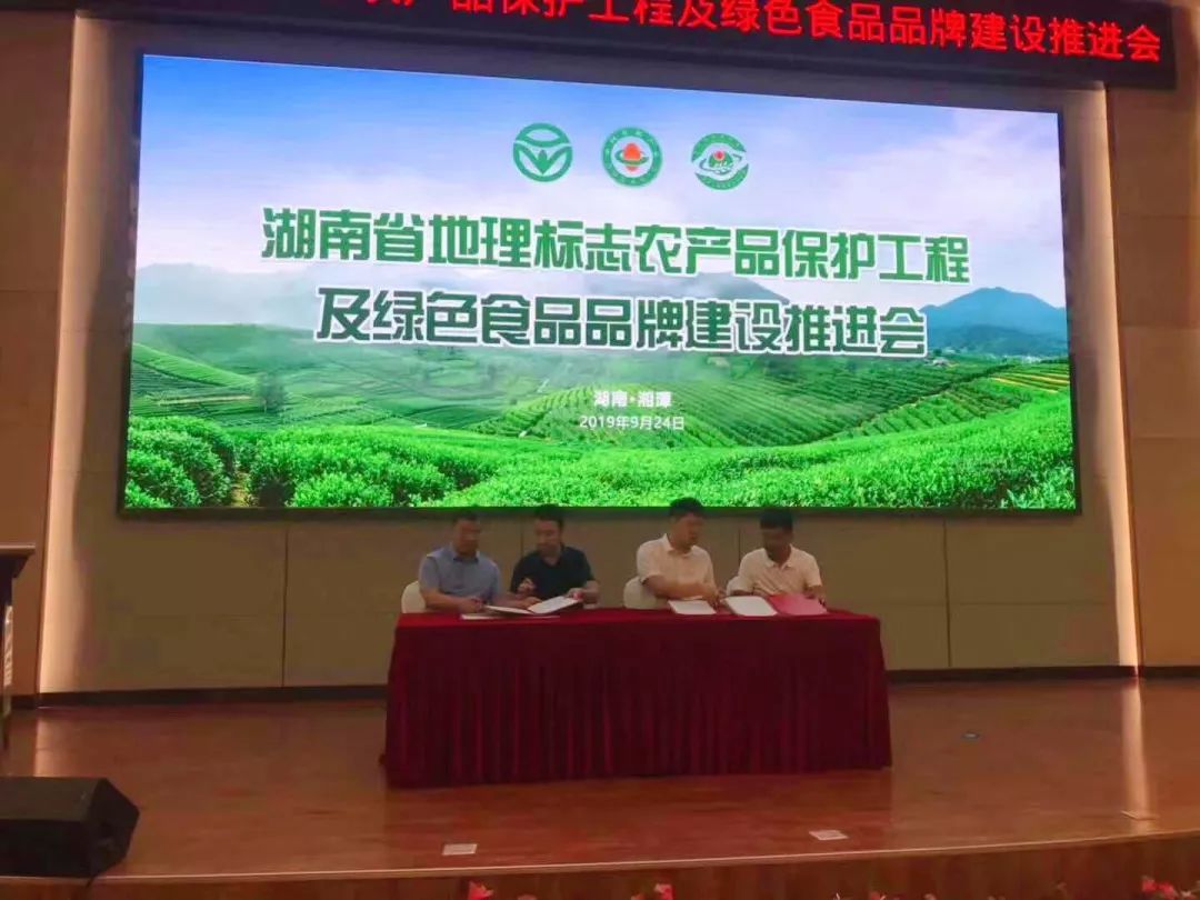 精品久久久久久无码人妻