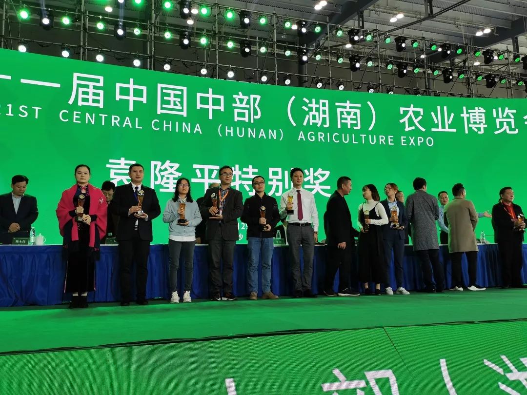 精品久久久久久无码人妻