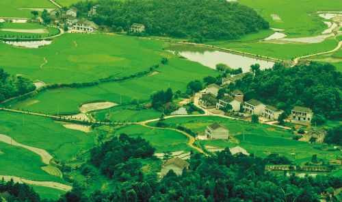 精品久久久久久无码人妻