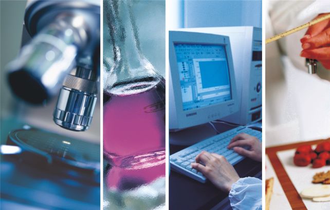 精品久久久久久无码人妻