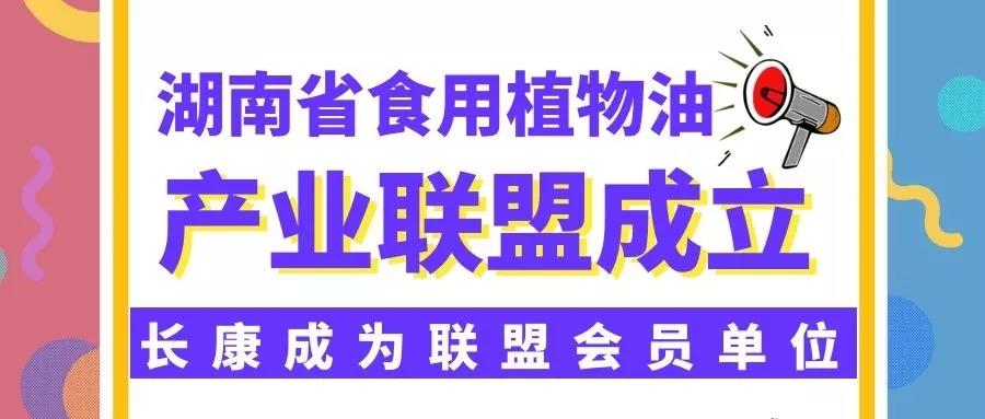 精品久久久久久无码人妻