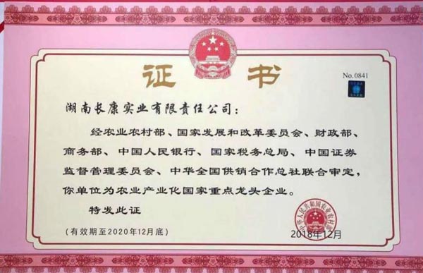 精品久久久久久无码人妻