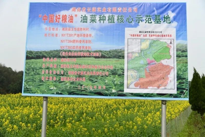 精品久久久久久无码人妻