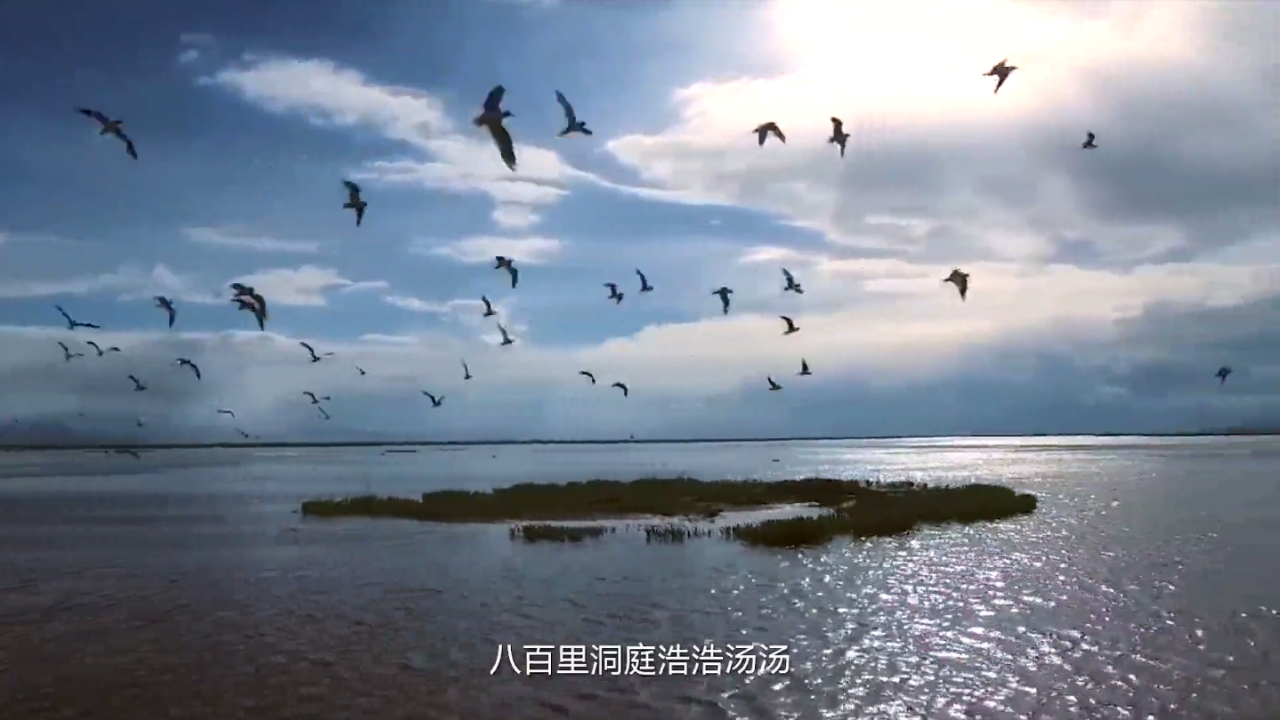 精品久久久久久无码人妻