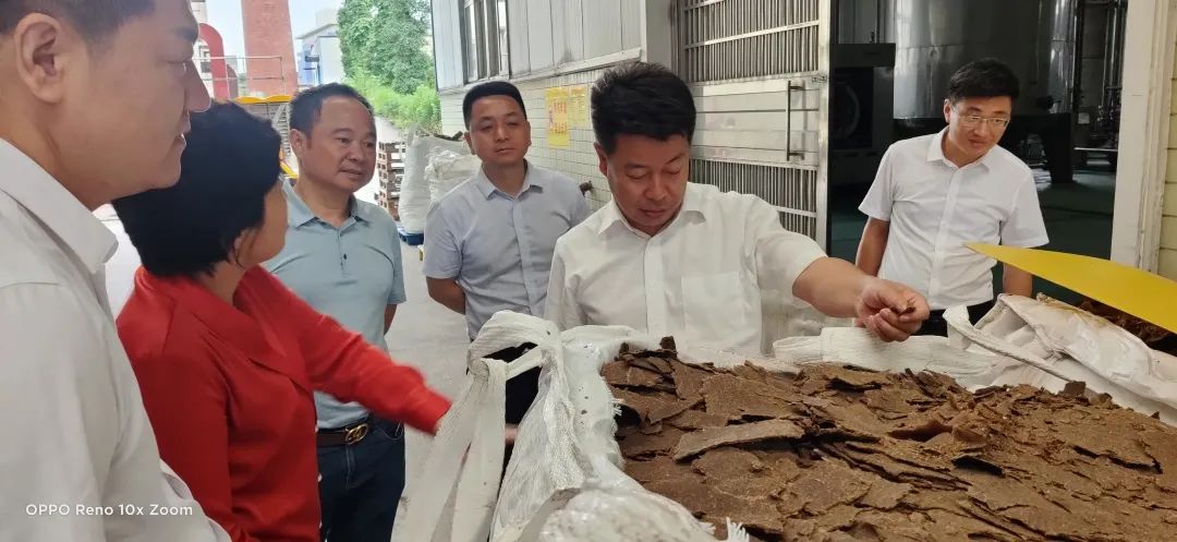 精品久久久久久无码人妻