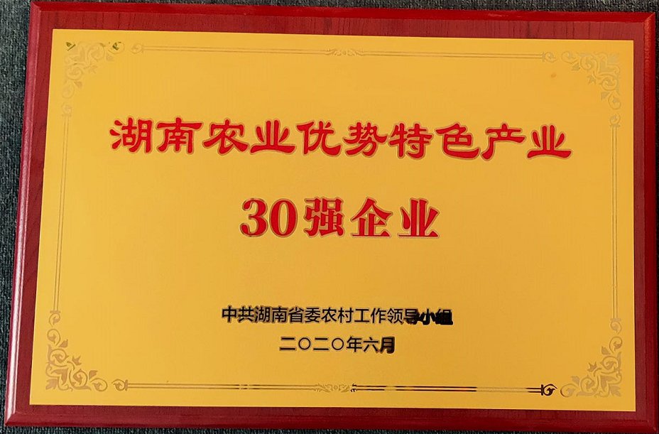 精品久久久久久无码人妻