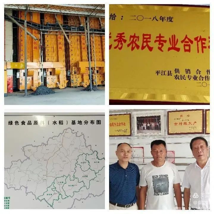 精品久久久久久无码人妻