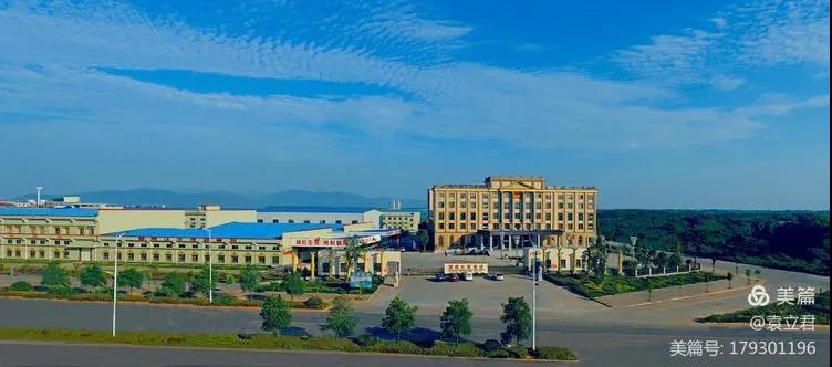 精品久久久久久无码人妻