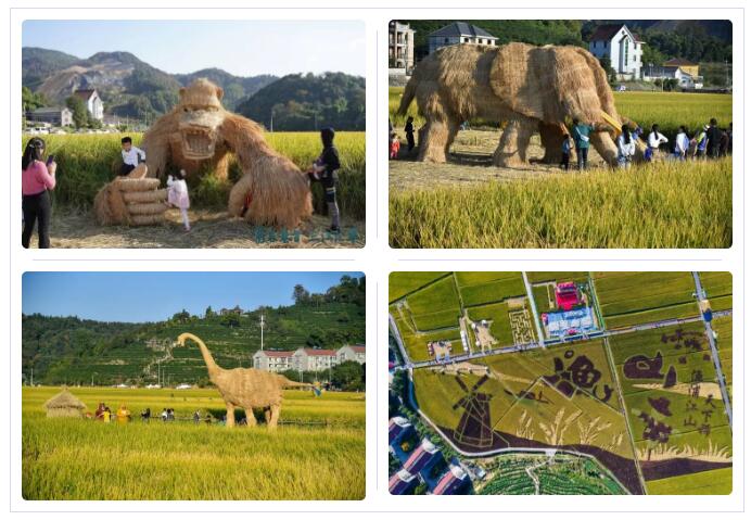 精品久久久久久无码人妻