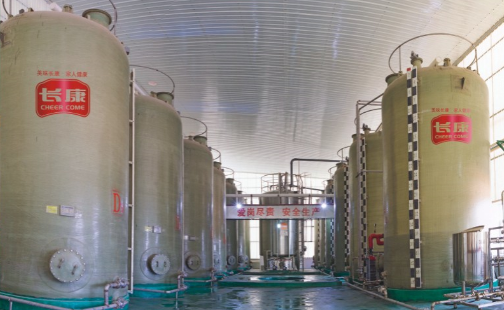 精品久久久久久无码人妻