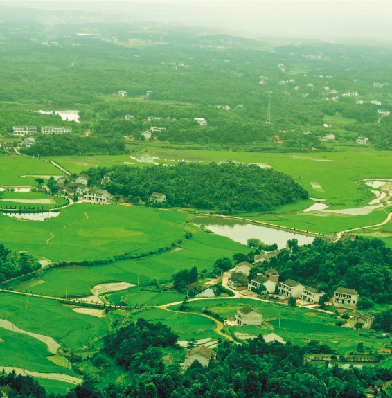 精品久久久久久无码人妻