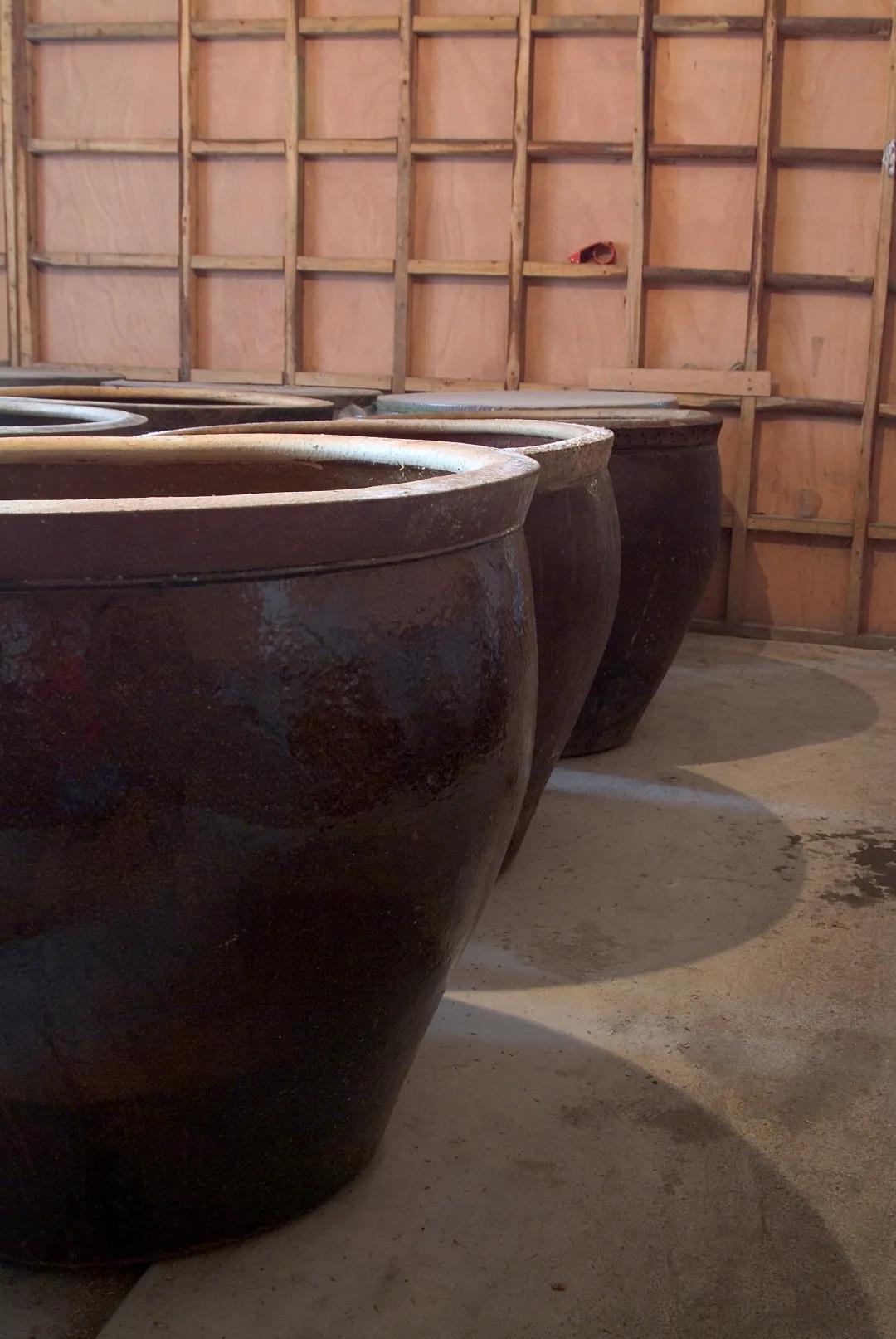 精品久久久久久无码人妻