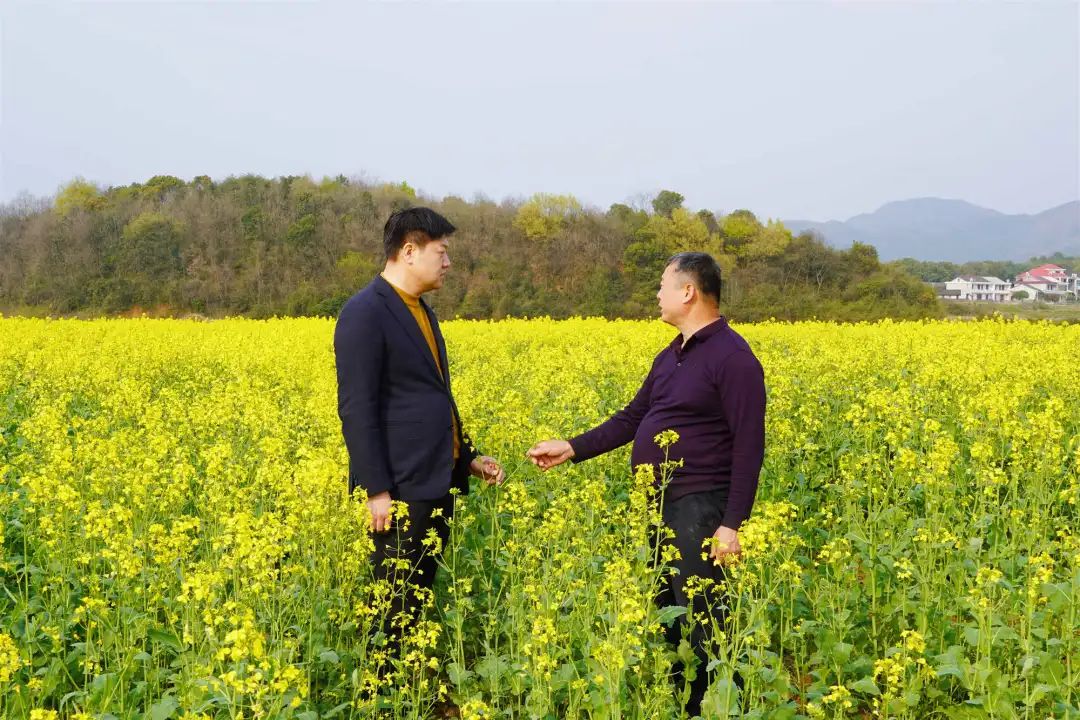 精品久久久久久无码人妻