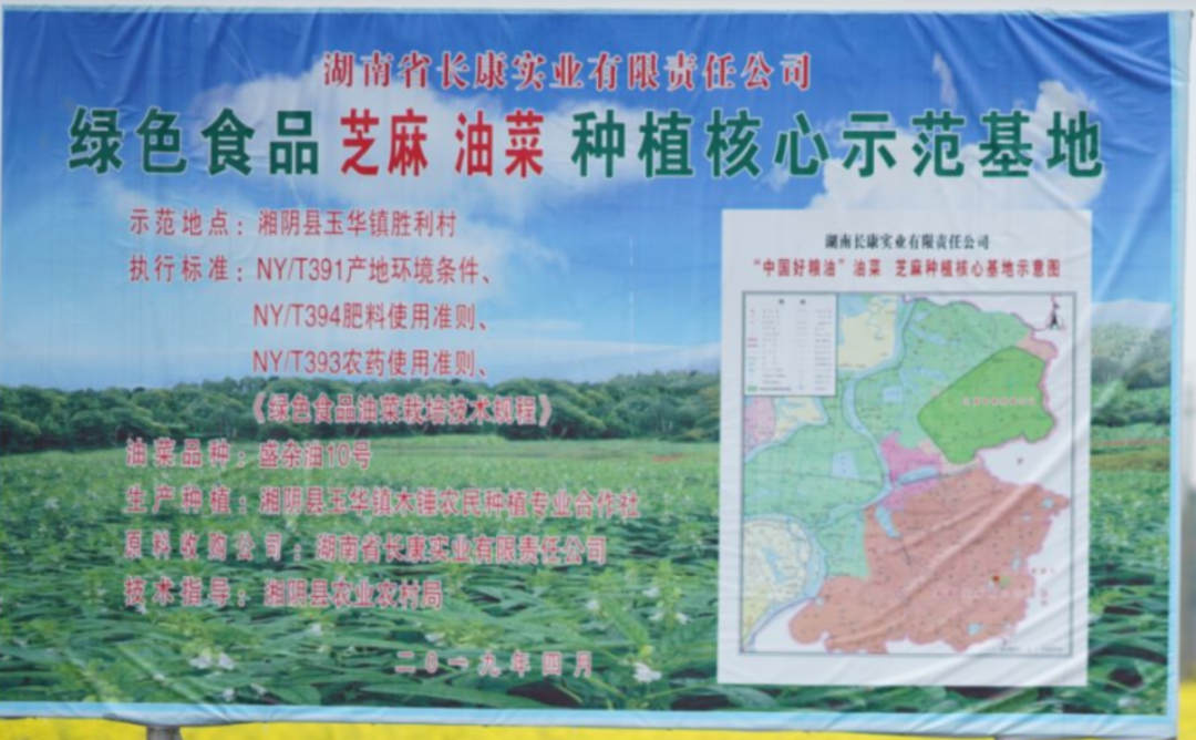 精品久久久久久无码人妻