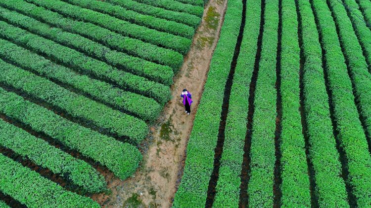 精品久久久久久无码人妻