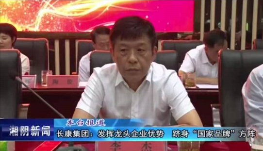 精品久久久久久无码人妻