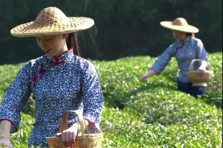 精品久久久久久无码人妻