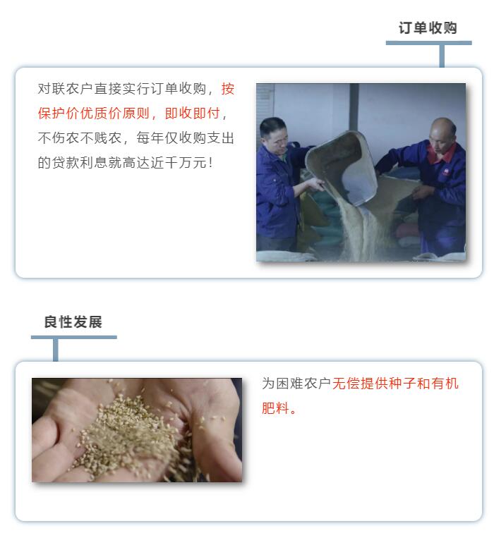 精品久久久久久无码人妻