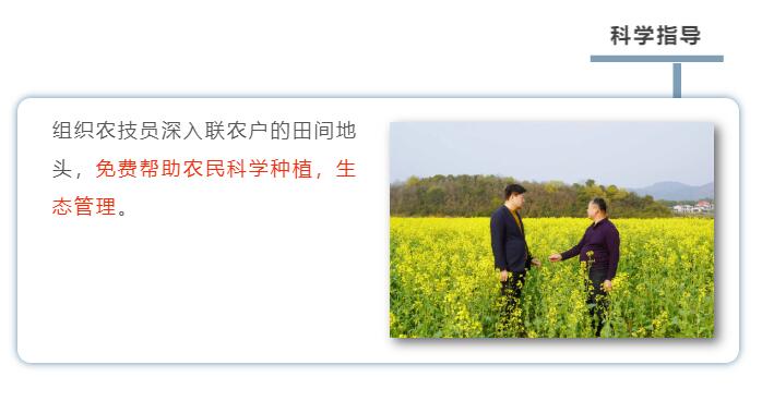 精品久久久久久无码人妻