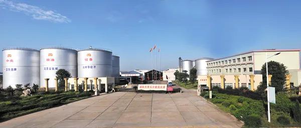 精品久久久久久无码人妻