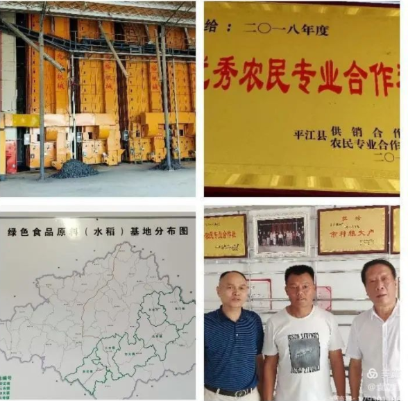 精品久久久久久无码人妻