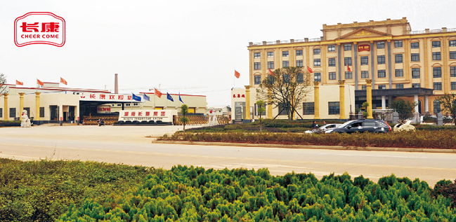 精品久久久久久无码人妻